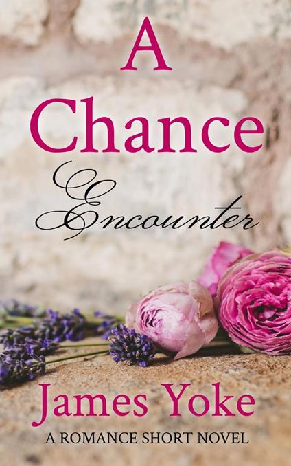 A Chance Encounter