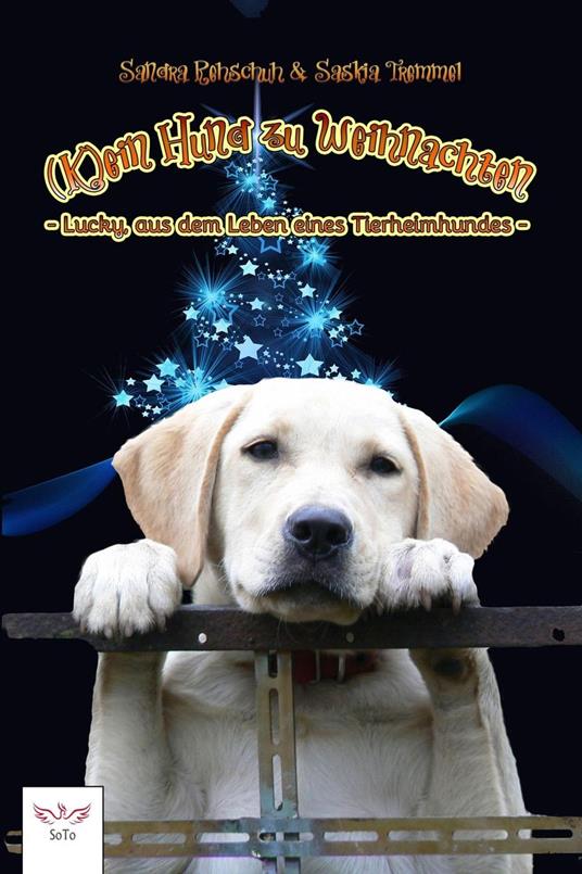 (K)ein Hund zu Weihnachten - Lucky, aus dem Leben eines Tierheimhundes - Sandra Rehschuh - ebook