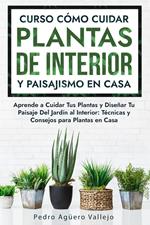 Curso sobre Cómo Cuidar Plantas de Interior y Paisajismo en Casa
