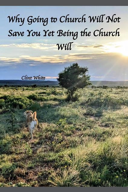 Why Going to Church Will Not Save You Yet Being the Church Will