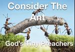 Consider The Ant - God's Tiny Preachers