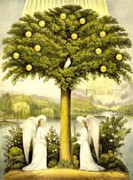 Trees of Life: A Visual History of Evolution