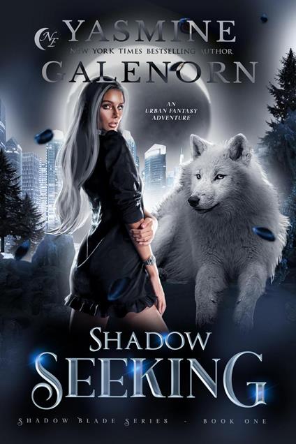 Shadow Seeking: An Urban Fantasy Adventure