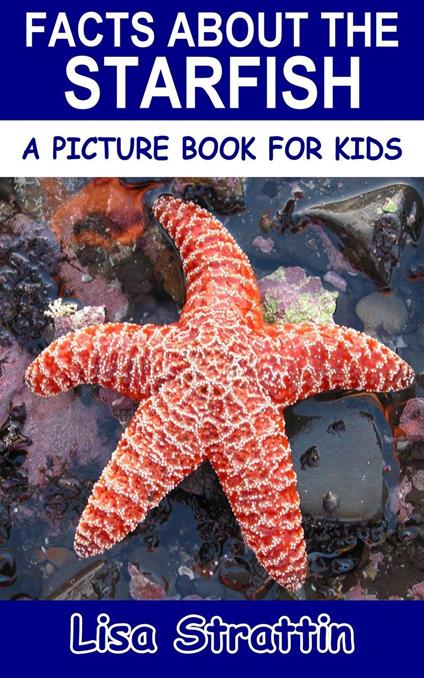Facts About the Starfish - Lisa Strattin - ebook