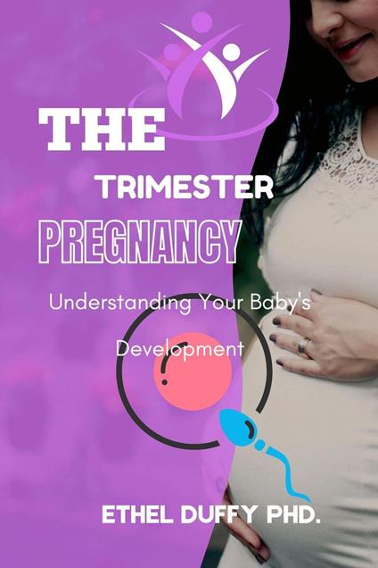 The Trimester Pregnancy