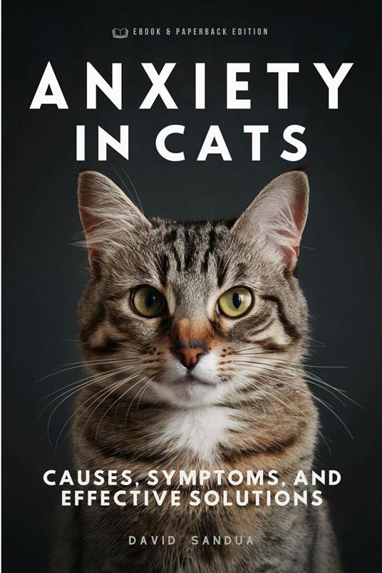 Anxiety in Cats