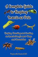 A Complete Guide to Keeping Insects as Pets