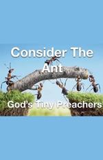 Consider The Ant - God's Tiny Preachers