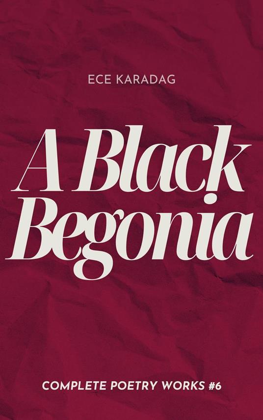 A Black Begonia