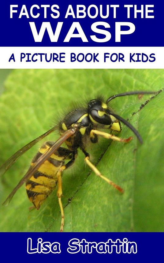 Facts About the Wasp - Lisa Strattin - ebook