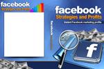 Facebook Strategies and Profits