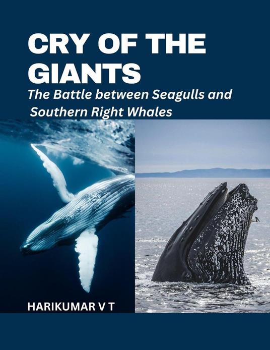 Cry of the Giants: The Battle between Seagulls and Southern Right Whales