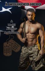 A Wounded Hero: A Multi Author Anthology