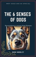 The 6 Senses of dogs