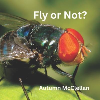 Fly or Not? - Autumn McClellan - cover