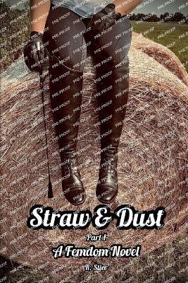 Straw and Dust: Part 1. A femdom novel - R Stiev - cover