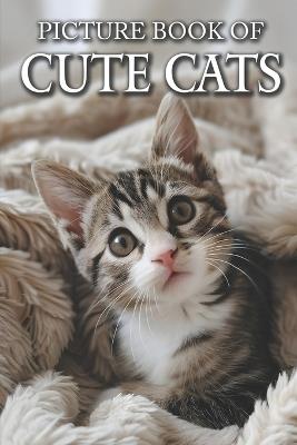 Cute Cats: Picture Books For Adults With Dementia And Alzheimers Patients - Colourful Photos Of Kitten and Cat - Ella Caldwell - cover