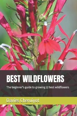 Best Wildflowers: The beginner's guide to growing 22 best wildflowers - Davies Cheruiyot - cover