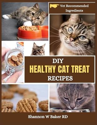 DIY Healthy Cat Treat Recipes: Homemade Fun Snacks Your Feline Friend Will Love (With Vet Recommended Ingredients) - Shannon W Baker Rd - cover