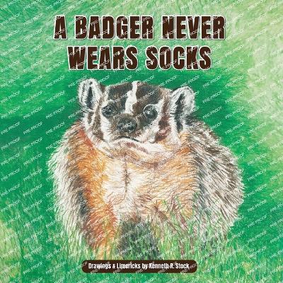 A Badger Never Wears Socks: An A-to-Z Book of Animals and Limericks - Kenneth R Stock - cover