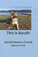 This is Bandit: Book 1: Bandit Meets a Friend