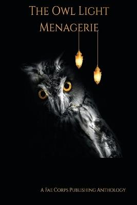 The Owl Light Menagerie - Steve Van Samson,Raz T Slasher,Rob Smales - cover