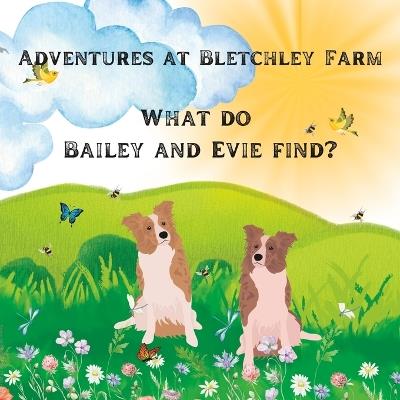 Adventures at Bletchley Farm: What do Bailey and Evie find? - Steve Janes,Jennie Janes - cover