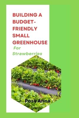 Building A Budget-Friendly Small Greenhouse For Strawberries - Poss Anna - cover
