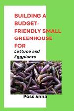 Building a Budget-Friendly Small Greenhouse for Lettuce and Eggplants