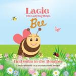 Lacie the Ladybug Helps Bee Find Calm in the Meadow
