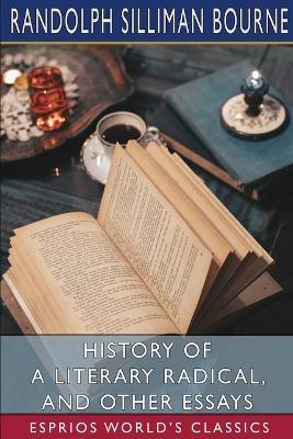 History of a Literary Radical, and Other Essays (Esprios Classics) - Randolph Silliman Bourne - cover