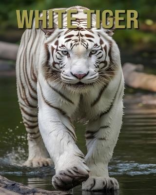 White Tiger: Learn About White Tiger and Enjoy Amazing Facts & Pictures - Tristan Fairwood - cover