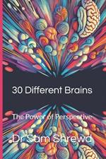 30 Different Brains: The Power of Perspective