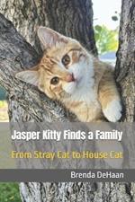 Jasper Kitty Finds a Family: From Stray Cat to House Cat