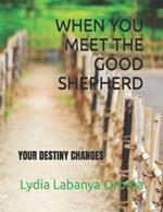 When You Meet the Good Shepherd: Your Destiny Changes