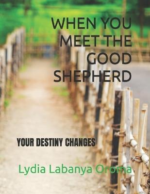 When You Meet the Good Shepherd: Your Destiny Changes - Lydia Labanya Oroma - cover