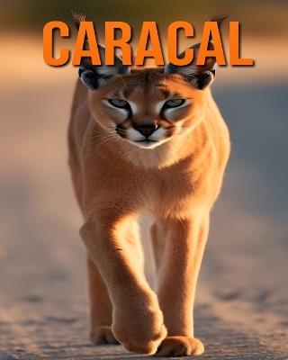 Caracal: Fun and Fascinating Facts and Pictures About Caracal - Raine Hawthorn - cover