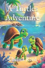 A Turtles Adventure