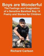 Boys are Wonderful: The Feelings and Imagination of a Sensitive Barefoot Boy 14: Poetry and Stories for Children