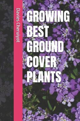 Growing Best Ground Cover Plants - Davies Cheruiyot - cover