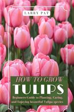 How to Grow Tulips: Beginners Guide to Planting, Caring, and Enjoying beautiful Tulipa species