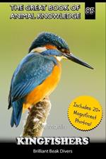 Kingfishers: Brilliant Beak Divers