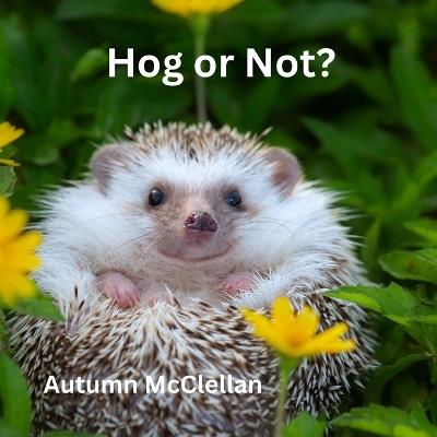 Hog or Not? - Autumn McClellan - cover