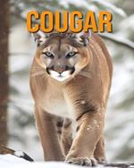 Cougar: The Essential Guide to This Amazing Animal with Amazing Photos