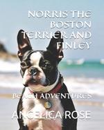 Norris the Boston Terrier and Finley: Beach Adventures