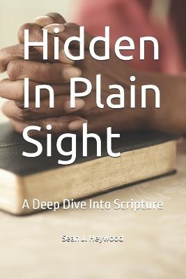 Hidden In Plain Sight: A Journey Through The Bible - Sean J Heywood - cover