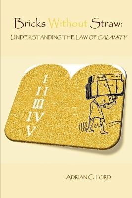 Bricks without Straw: : Understanding the Law of Calamity - Adrian C Ford - cover