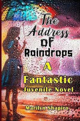 The Address of Raindrops: A Fantastic Juvenile Novel - Marilyn Shapiro - cover