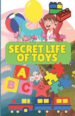 Secret Life of Toys - Sajid Naseem - cover