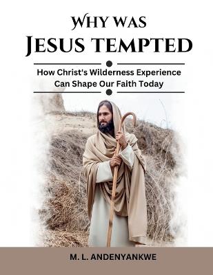 Why Was Jesus Tempted: How Christ's Wilderness Experience Can Shape Our Faith Today - M L Andenyankwe - cover